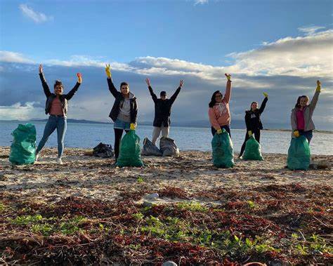 Pessoas retirando lixo de uma praia.